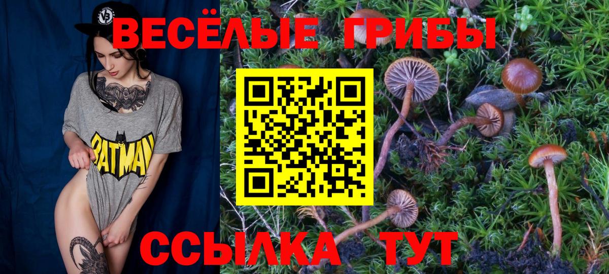 Галлюциногенные грибы прущие грибы  Вход с VPN  Галлюциногенные грибы Magic Shrooms  Заринск 
